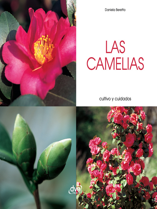 Cover image for Las camelias--Cultivo y cuidados
